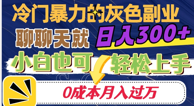 冷门暴利的副业项目，聊聊天就能日入300+，0成本月入过万【揭秘】-大东资源库
