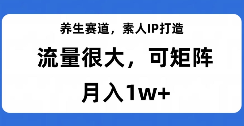 养生赛道，素人IP打造，流量很大，可矩阵，月入1w+【揭秘】-大东资源库