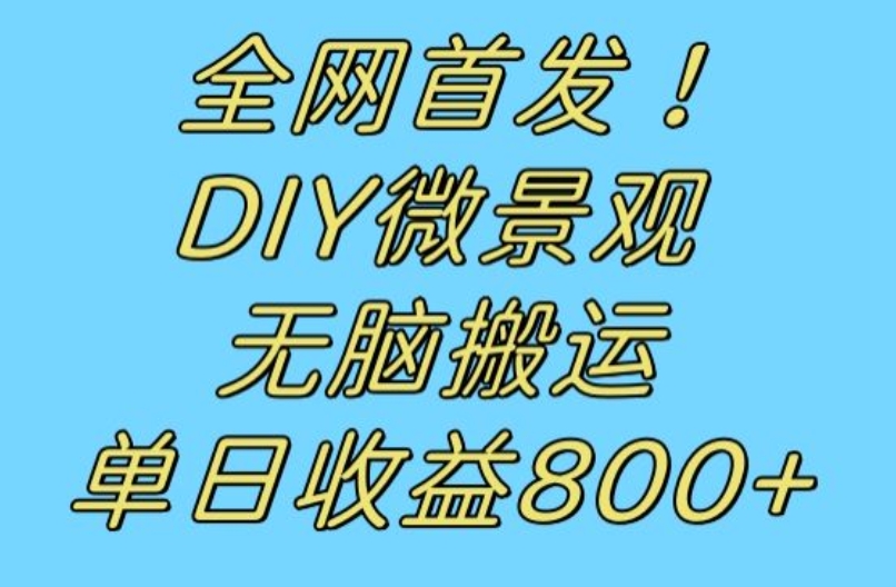 全网首发冷门赛道！DIY微景观，无脑搬运视频，日收益800+【揭秘】-大东资源库