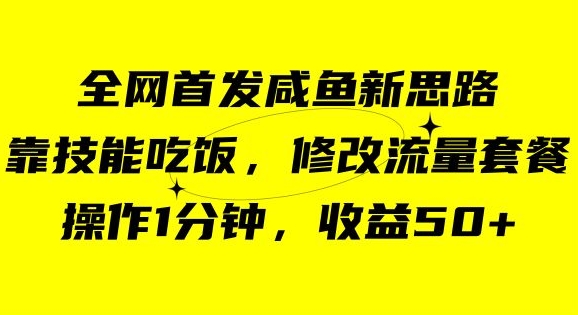 咸鱼冷门新玩法，靠“技能吃饭”，修改流量套餐，操作1分钟，收益50【揭秘】-大东资源库