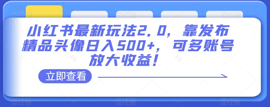 小红书最新玩法2.0，靠发布精品头像日入500+，可多账号放大收益！【揭秘】-大东资源库