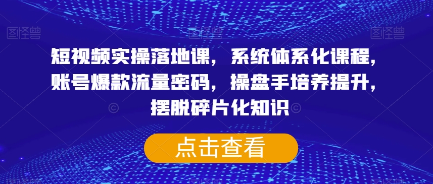 短视频实操落地课，系统体系化课程，账号爆款流量密码，操盘手培养提升，摆脱碎片化知识-大东资源库