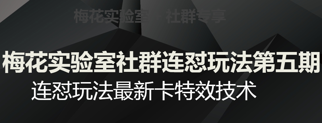 梅花实验室社群连怼玩法第五期，视频号连怼玩法最新卡特效技术-大东资源库