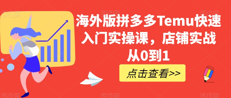 海外版拼多多Temu快速入门实操课，店铺实战从0到1-大东资源库