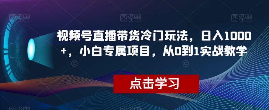视频号直播带货冷门玩法，日入1000+，小白专属项目，从0到1实战教学【揭秘】-大东资源库