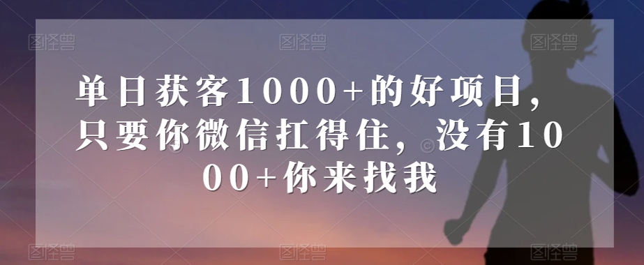 单日获客1000+的好项目，只要你微信扛得住，没有1000+你来找我【揭秘】-大东资源库