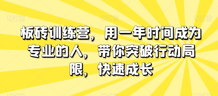 板砖训练营，用一年时间成为专业的人，带你突破行动局限，快速成长-大东资源库