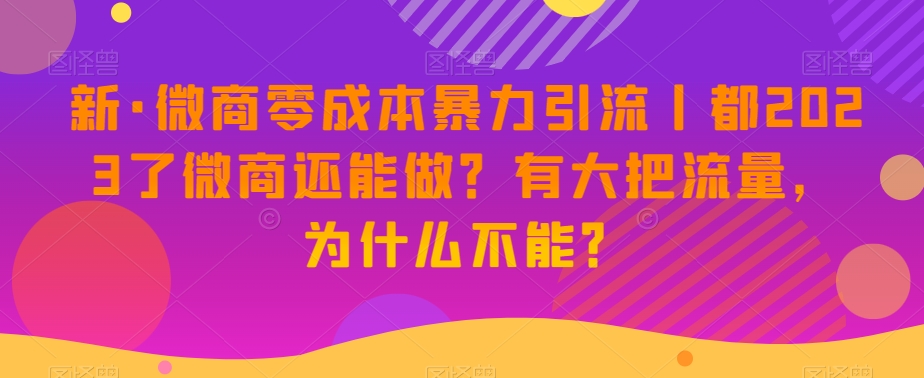 新·微商零成本暴力引流丨都2023了微商还能做？有大把流量，为什么不能？-大东资源库