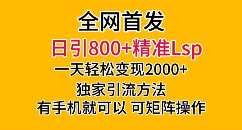 全网首发！日引800+精准老色批，一天变现2000+，独家引流方法，可矩阵操作【揭秘】-大东资源库