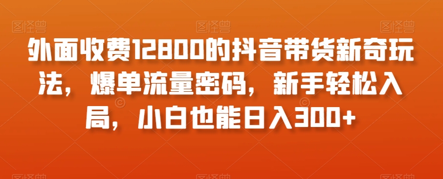 外面收费12800的抖音带货新奇玩法，爆单流量密码，新手轻松入局，小白也能日入300+【揭秘】-大东资源库