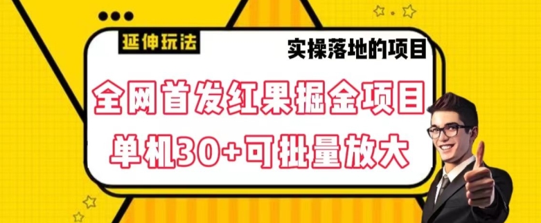 全网首发红果免费短剧掘金项目，单机30+可批量放大【揭秘】-大东资源库