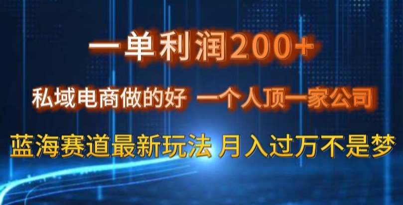 一单利润200私域电商做的好，一个人顶一家公司蓝海赛道最新玩法【揭秘】-大东资源库