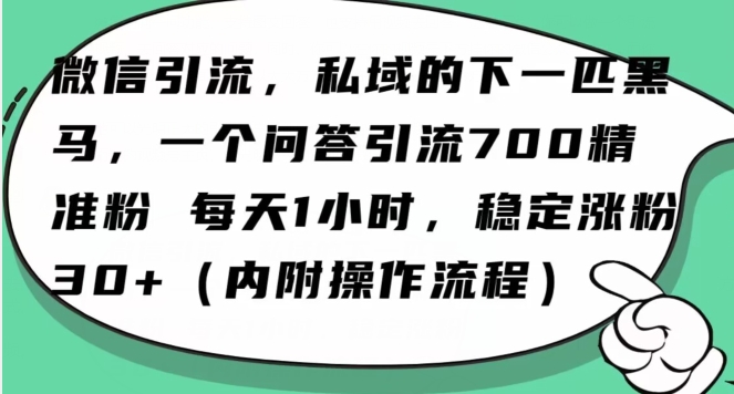 怎么搞精准创业粉？微信新赛道，每天一小时，利用Ai一个问答日引100精准粉-大东资源库