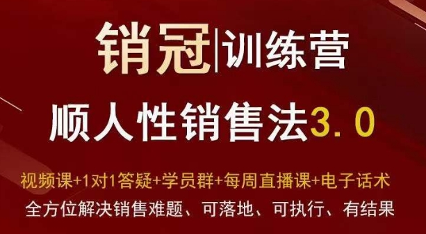 爆款！销冠训练营3.0之顺人性销售法，全方位解决销售难题、可落地、可执行、有结果-大东资源库