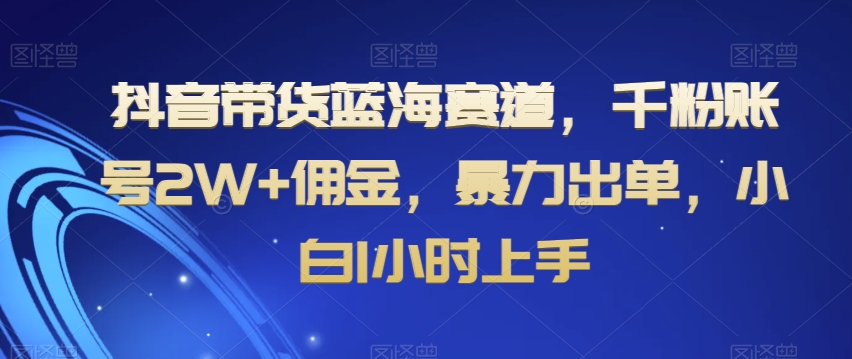 抖音带货蓝海赛道，千粉账号2W+佣金，暴力出单，小白1小时上手【揭秘】-大东资源库