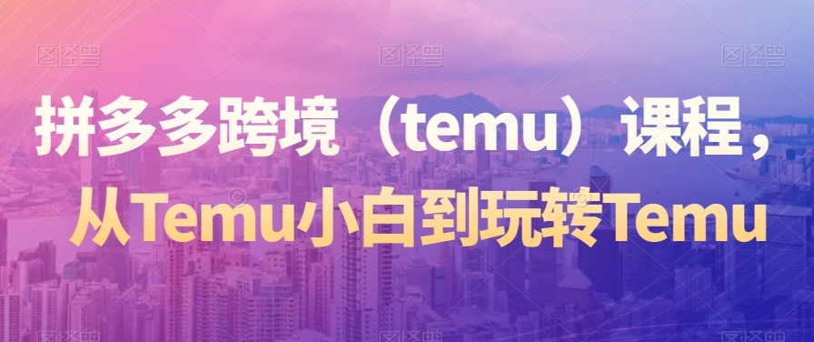 拼多多跨境（temu）课程，从Temu小白到玩转Temu-大东资源库