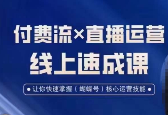 视频号付费流实操课程，付费流✖️直播运营速成课，让你快速掌握视频号核心运营技能-大东资源库