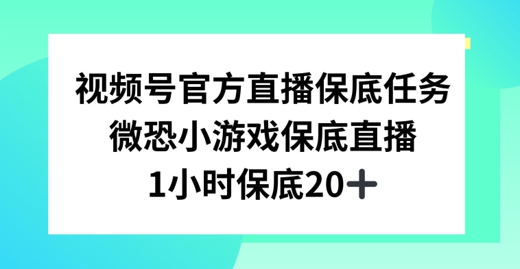 视频号直播任务，微恐小游戏，1小时20+【揭秘】-大东资源库