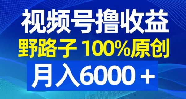 视频号野路子撸收益，100%原创，条条爆款，月入6000＋【揭秘】-大东资源库
