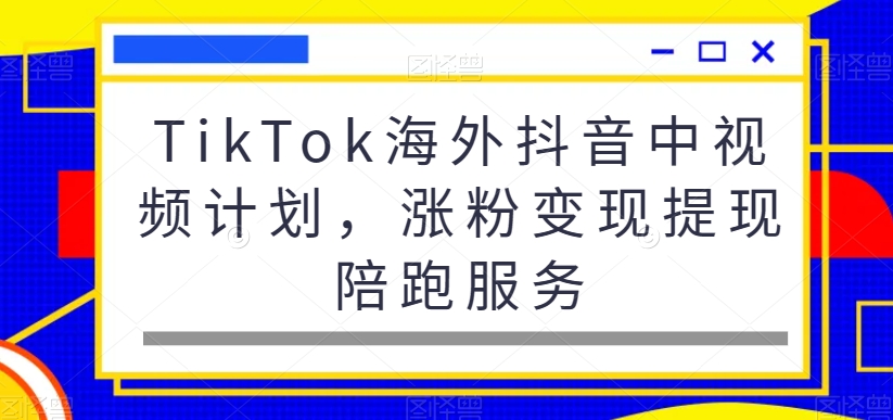 TikTok海外抖音中视频计划，涨粉变现提现陪跑服务-大东资源库