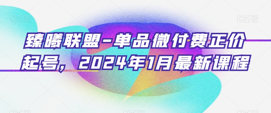 臻曦联盟-单品微付费正价起号，2024年1月最新课程-大东资源库