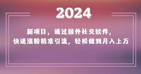 2024新项目，通过国外社交软件，快速涨粉精准引流，轻松做到月入上万【揭秘】-大东资源库