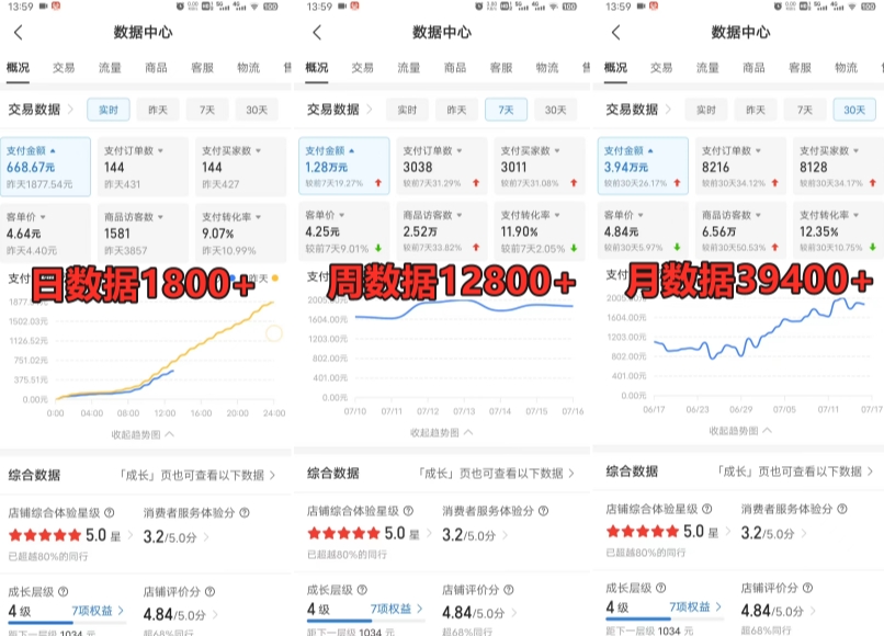 拼多多虚拟电商训练营月入30000+你也行，暴利稳定长久，副业首选-大东资源库