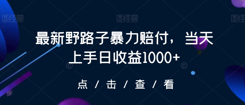 最新野路子暴力赔付，当天上手日收益1000+【仅揭秘】-大东资源库