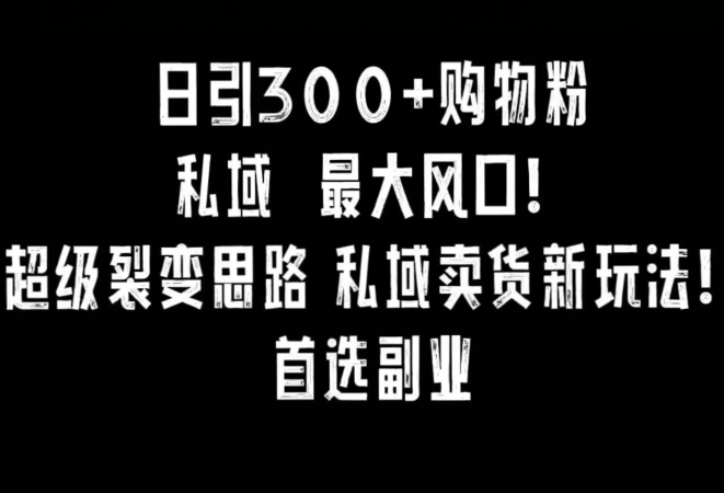 日引300+购物粉，超级裂变思路，私域卖货新玩法，小红书首选副业【揭秘】-大东资源库