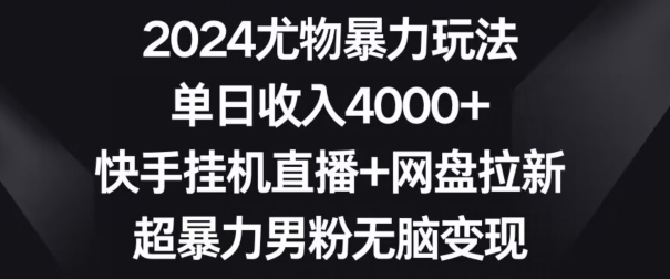 2024尤物暴力玩法，单日收入4000+，快手挂机直播+网盘拉新，超暴力男粉无脑变现【揭秘】-大东资源库