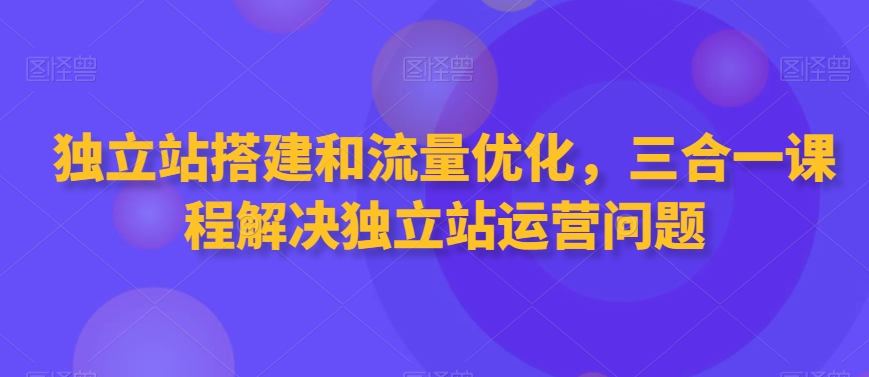 独立站搭建和流量优化，三合一课程解决独立站运营问题-大东资源库