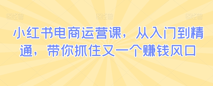 小红书电商运营课，从入门到精通，带你抓住又一个赚钱风口-大东资源库