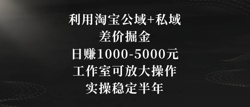 利用淘宝公域+私域差价掘金，日赚1000-5000元，工作室可放大操作，实操稳定半年【揭秘】-大东资源库