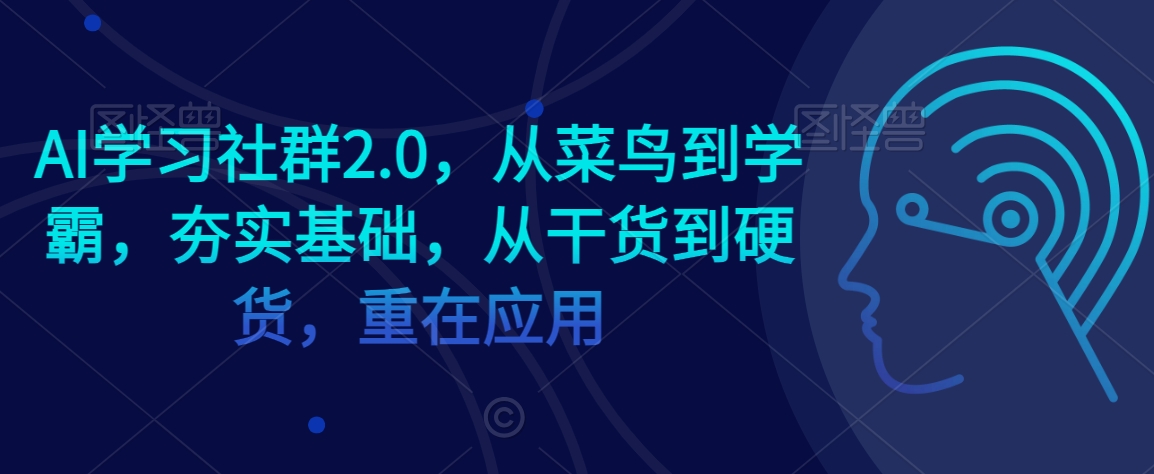 AI学习社群2.0，从菜鸟到学霸，夯实基础，从干货到硬货，重在应用-大东资源库