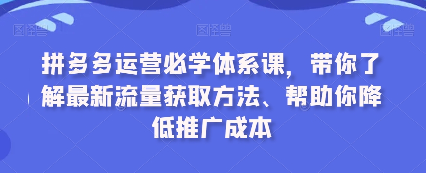 拼多多运营必学体系课，带你了解最新流量获取方法、帮助你降低推广成本-大东资源库