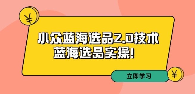 拼多多培训第33期：小众蓝海选品2.0技术-蓝海选品实操！-大东资源库