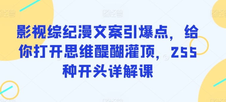 影视综纪漫文案引爆点，给你打开思维醍醐灌顶，255种开头详解课-大东资源库