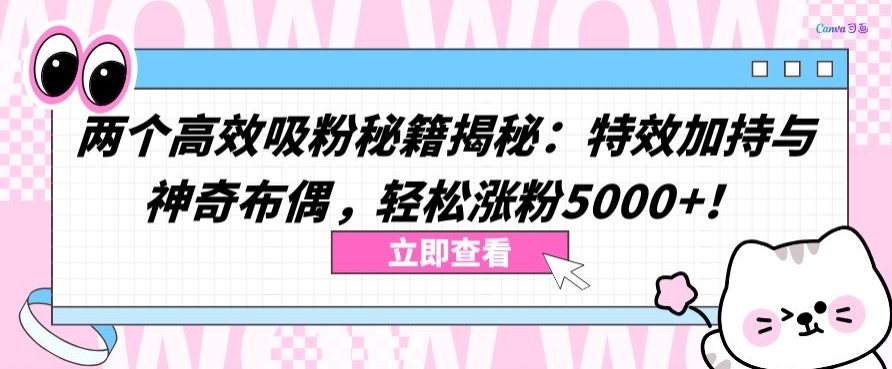 两个高效吸粉秘籍揭秘：特效加持与神奇布偶，轻松涨粉5000+【揭秘】-大东资源库