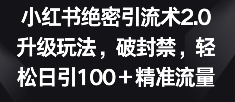 小红书绝密引流术2.0升级玩法，破封禁，轻松日引100+精准流量【揭秘】-大东资源库