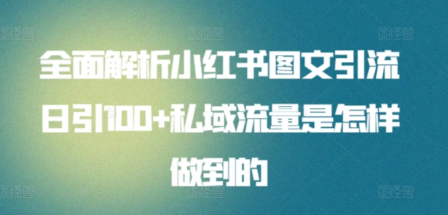 全面解析小红书图文引流日引100+私域流量是怎样做到的【揭秘】-大东资源库