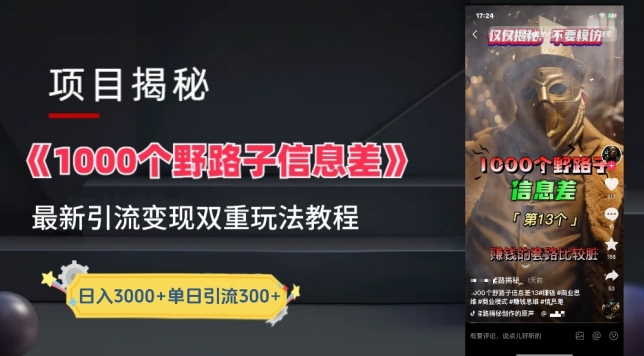 一千个野路子信息差最新玩法教程-变现+引流的玩法具体拆解【揭秘】-大东资源库