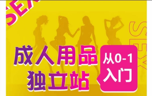 成人用品独立站从0-1入门，成品独立站运营全流程教学，七大好卖成品独立站推荐-大东资源库
