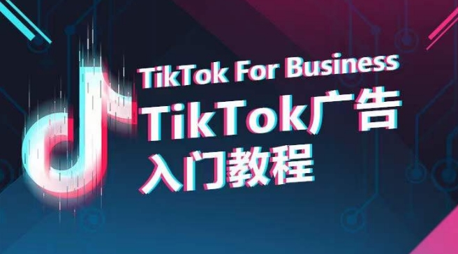 TikTok广告入门教程，从0到1掌握TikTok投放的全流程-大东资源库