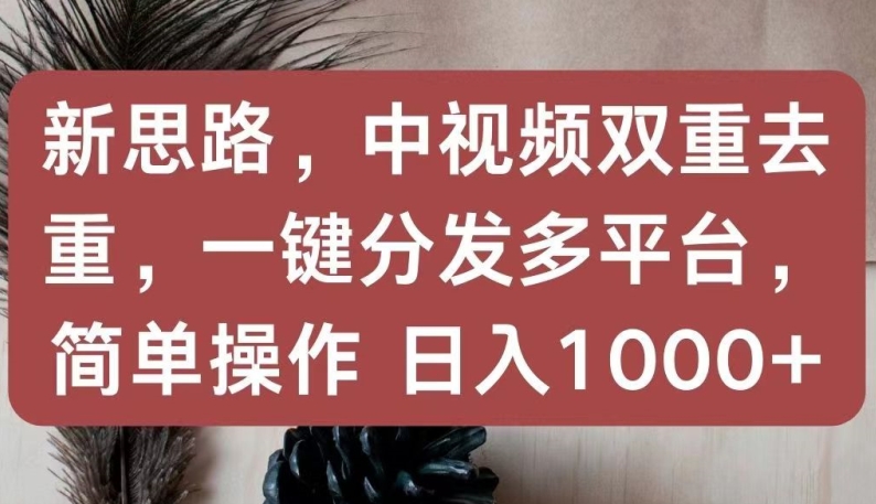 新思路，中视频双重去重，一键分发多平台，简单操作，日入1000+【揭秘】-大东资源库