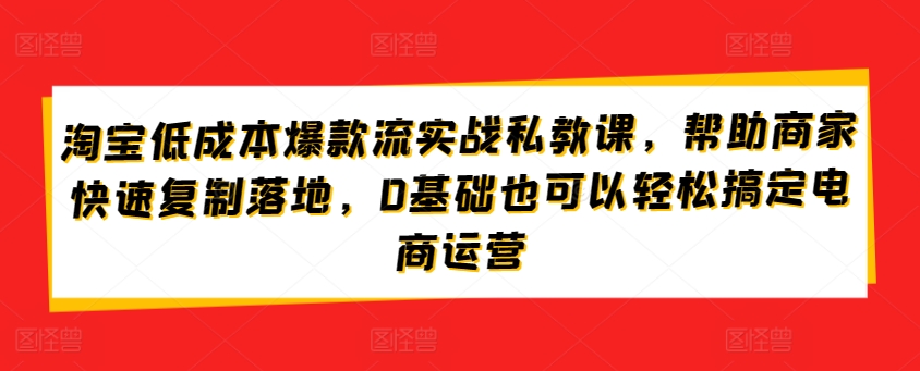 淘宝低成本爆款流实战私教课，帮助商家快速复制落地，0基础也可以轻松搞定电商运营-大东资源库