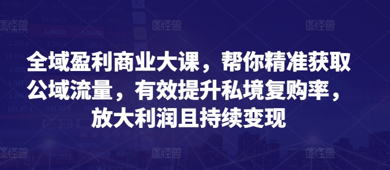 全域盈利商业大课，帮你精准获取公域流量，有效提升私境复购率，放大利润且持续变现-大东资源库