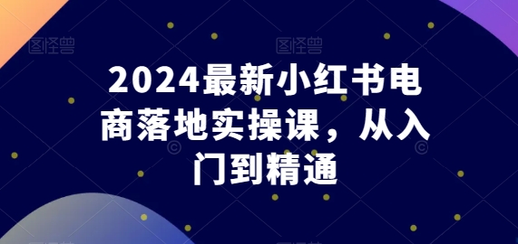 2024最新小红书电商落地实操课，从入门到精通-大东资源库
