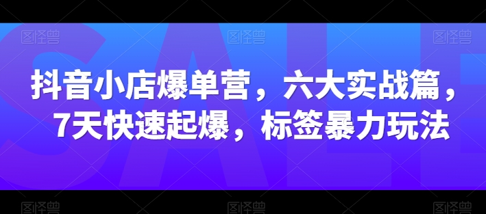 抖音小店爆单营，六大实战篇，7天快速起爆，标签暴力玩法-大东资源库