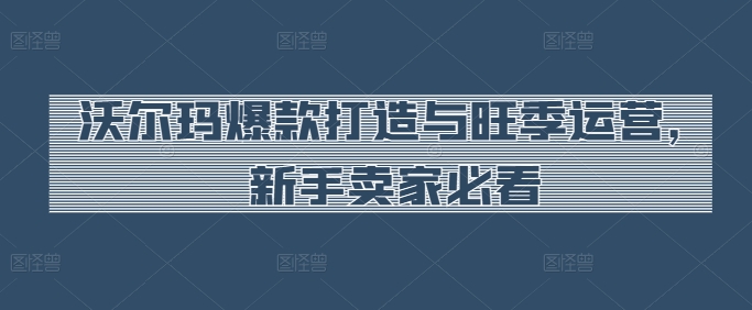 沃尔玛爆款打造与旺季运营，新手卖家必看-大东资源库