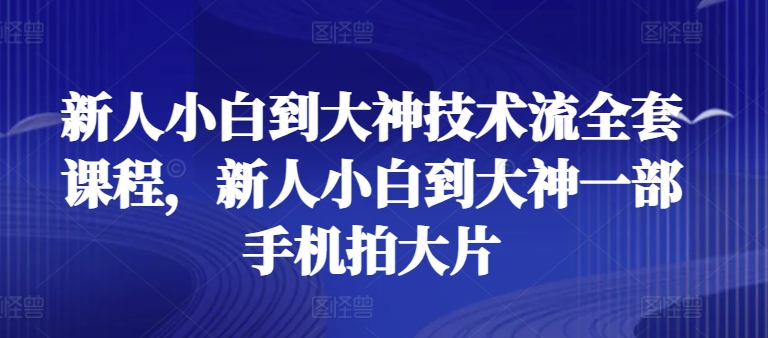 新人小白到大神技术流全套课程，新人小白到大神一部手机拍大片-大东资源库